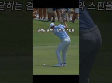 조던스피스와 아마추어의 치킨윙은...#sogolf #골프 #골프스윙 #golf #golfswing