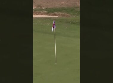 A double hole in one 🏌️‍♂️#golf #holeinone #pga #pgatour