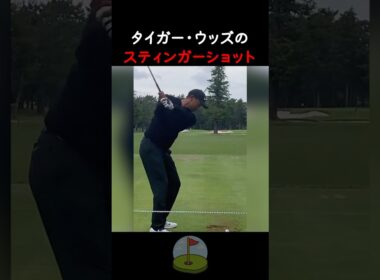 タイガー・ウッズのスティンガーショット