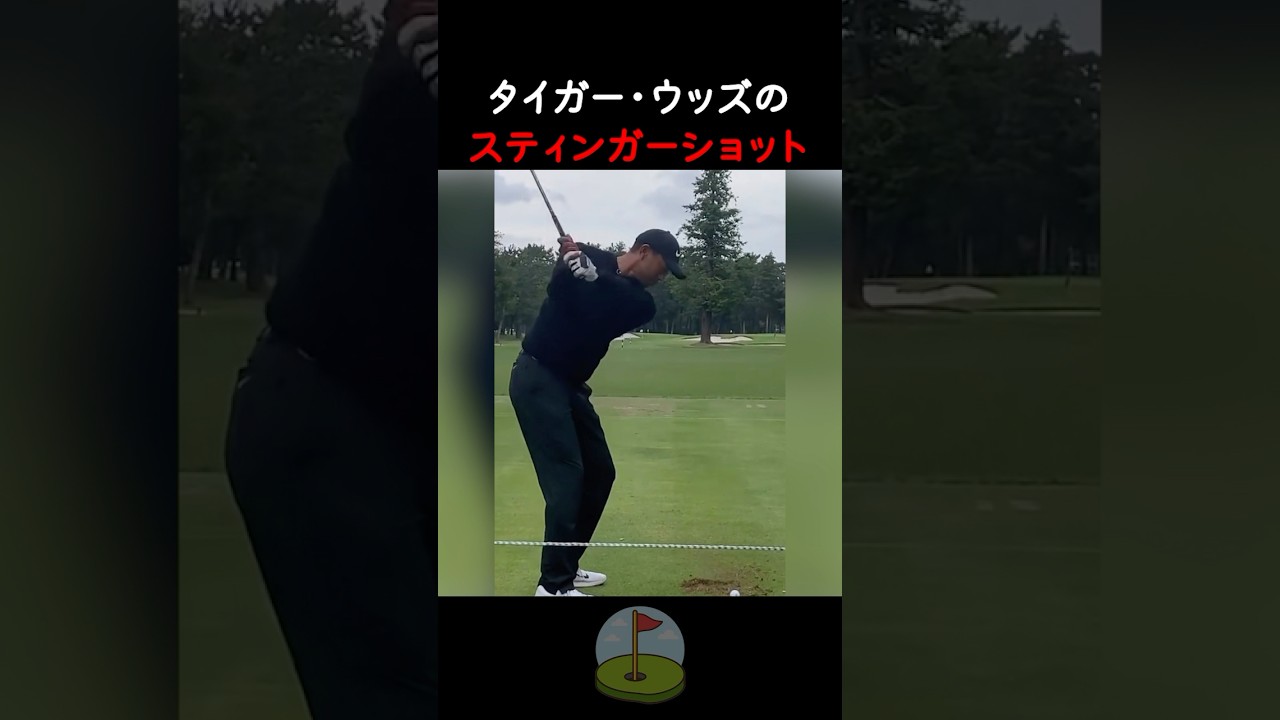 タイガー・ウッズのスティンガーショット