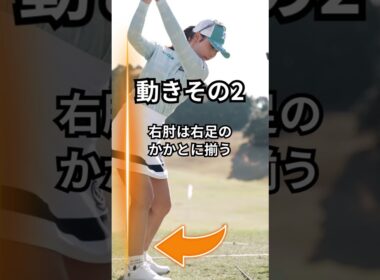 鶴岡プロの3つの動きを真似しよう