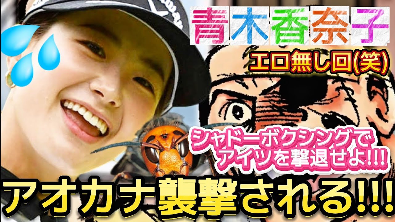 【青木香奈子】アオカナ襲撃される‼️シャドーボクシングでアイツを撃退せよ‼️😡【女子プロゴルフ】