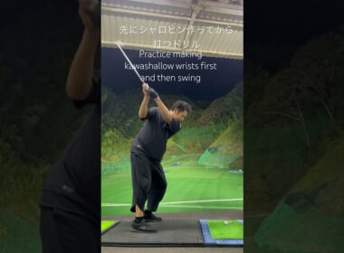 If you look at "kawashallow's secret", you will understand my daily postings better.