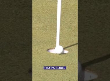 That's just RUDE! 😡