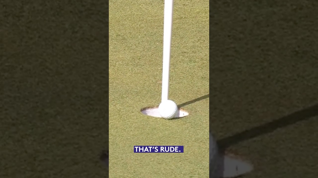 That's just RUDE! 😡