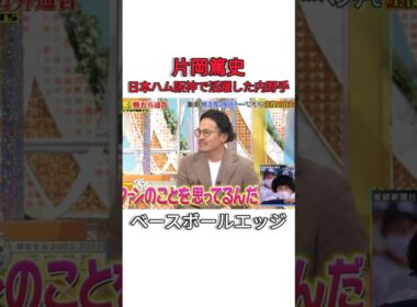 片岡篤史日本ハム阪神で活躍した内野手 #日本 #野球 #mlb