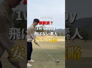 【頭脳派】安パイゴルフの真骨頂