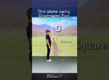 ワンプレーンスイングダウンスイング感🥋