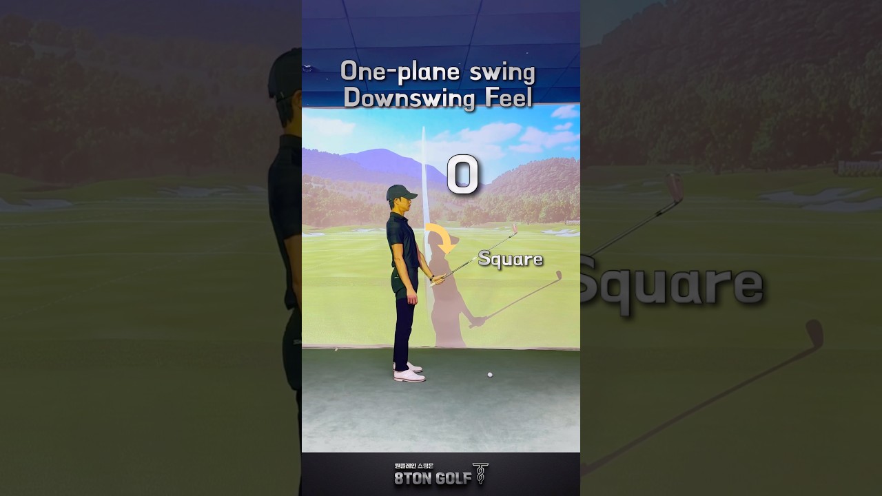 ワンプレーンスイングダウンスイング感🥋