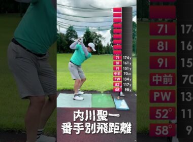 歴代右打者最高打率記録保持者・内川聖一の番手別飛距離