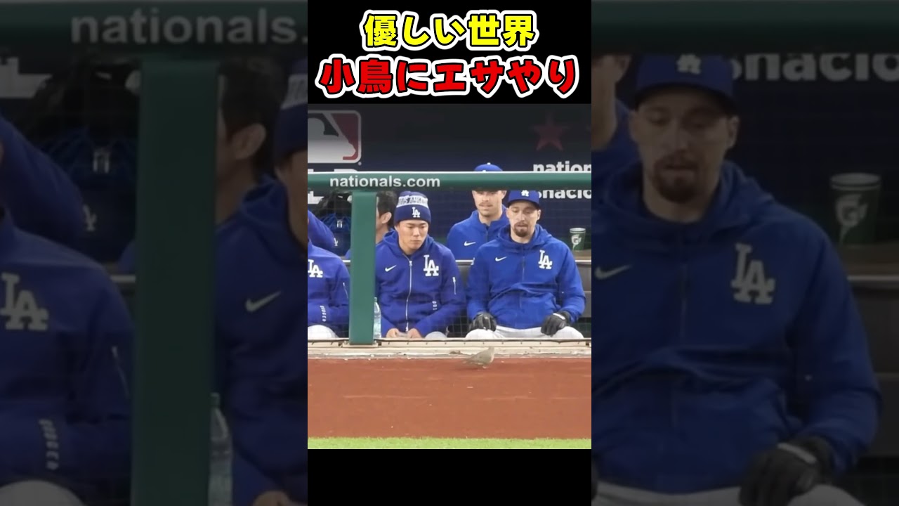 良い子すぎて、海外でバズる山本由伸！！！ #野球【ドジャース大谷翔平】