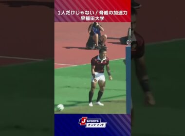 【えぐい加速力】相手に脅威を与え続ける早稲田大学のスピード #大学ラグビー #ラグビー #c_rugby #shorts