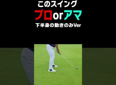 どっちなんだい！？