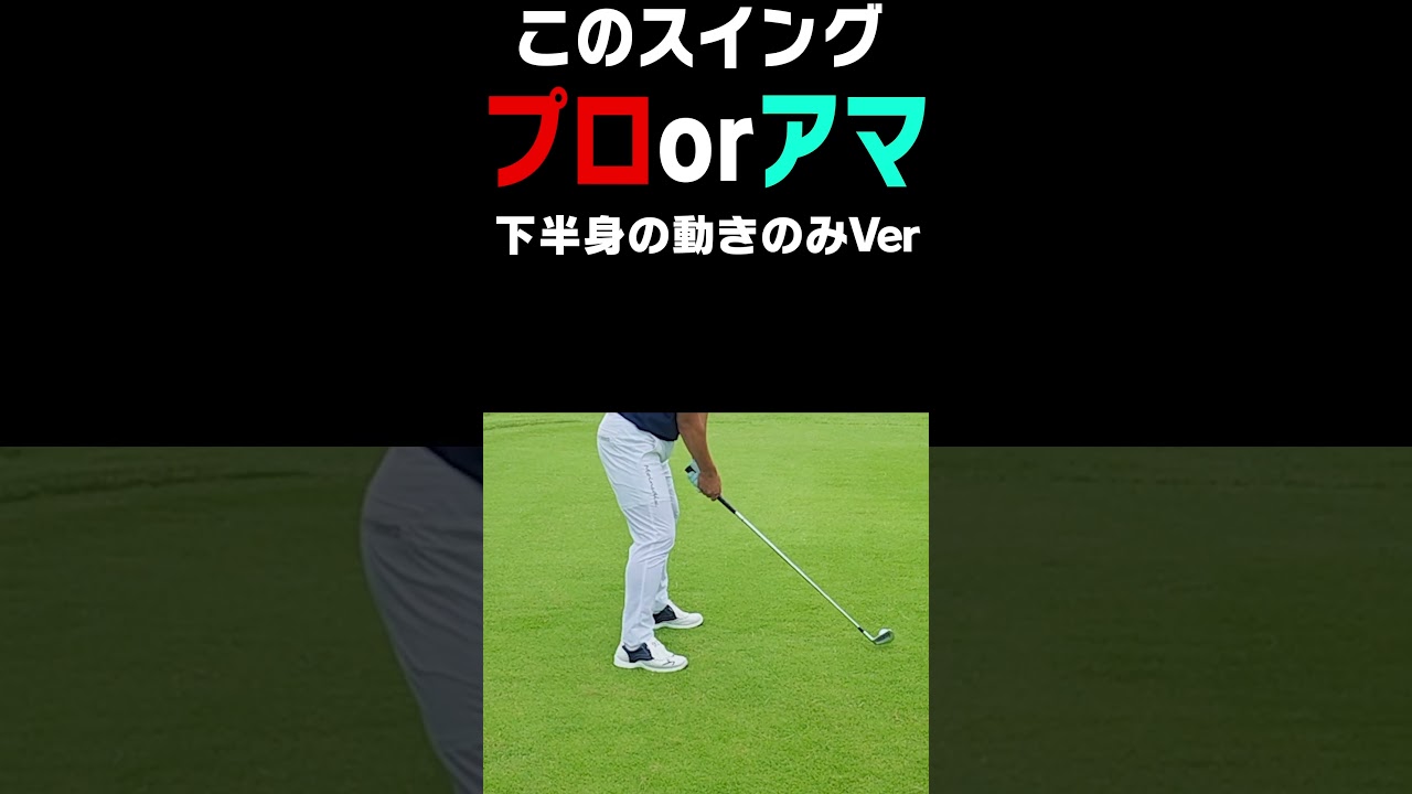 どっちなんだい！？