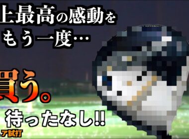 試打動画史上最高の感動をもう1度…。あのクラブが型落ちになって遂に購入１歩手前までやってきた！「ゼクシオ13 XXIO13 フェアウェイウッド」【北海道ゴルフ】