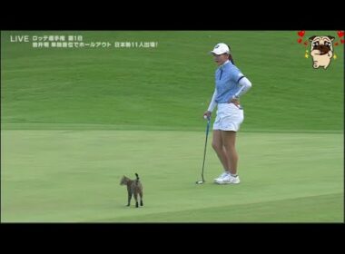 10月2日【渋野日向子】ロッテ選手権 1st ROUND END