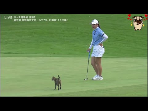 10月2日【渋野日向子】ロッテ選手権 1st ROUND END