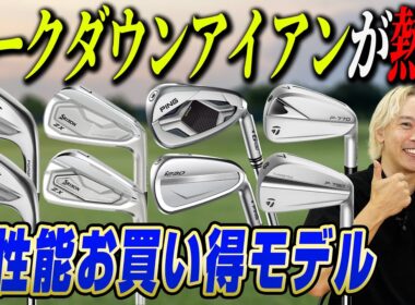 【まだ買える!!】いまゴルファーが求める高性能「型落ちアイアン」はコレだ！