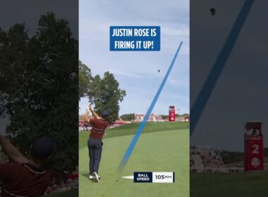 Rose has RISEN! 📈