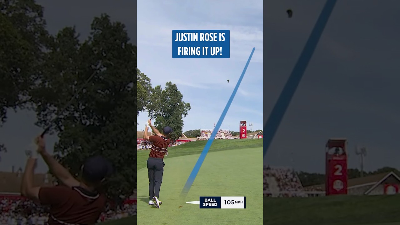 Rose has RISEN! 📈