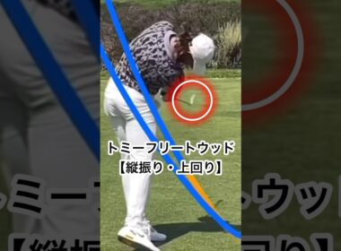 【トミーフリートウッド】が示すゴルフスイングの『正解』#ゴルフスイング基本 #ゴルフ #ゴルフスイングドライバー