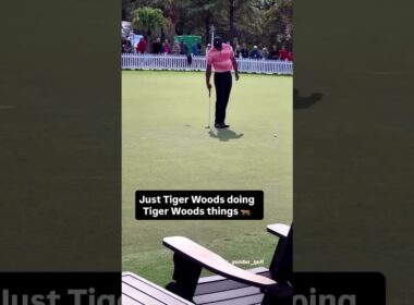 Aura on #TigerTuesday 😎