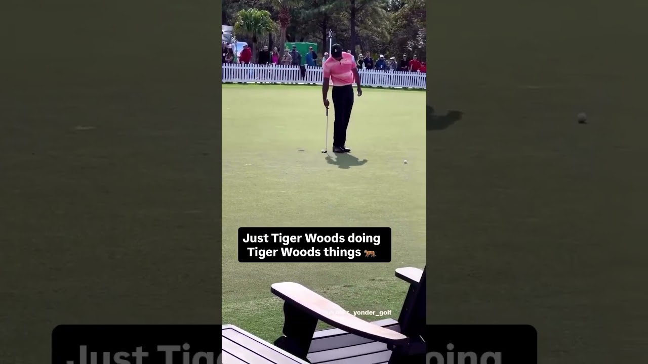 Aura on #TigerTuesday 😎