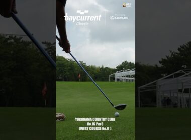 シグネチャーホール16番パー3のグリーン周り【Baycurrent Classic Presented by LEXUS】