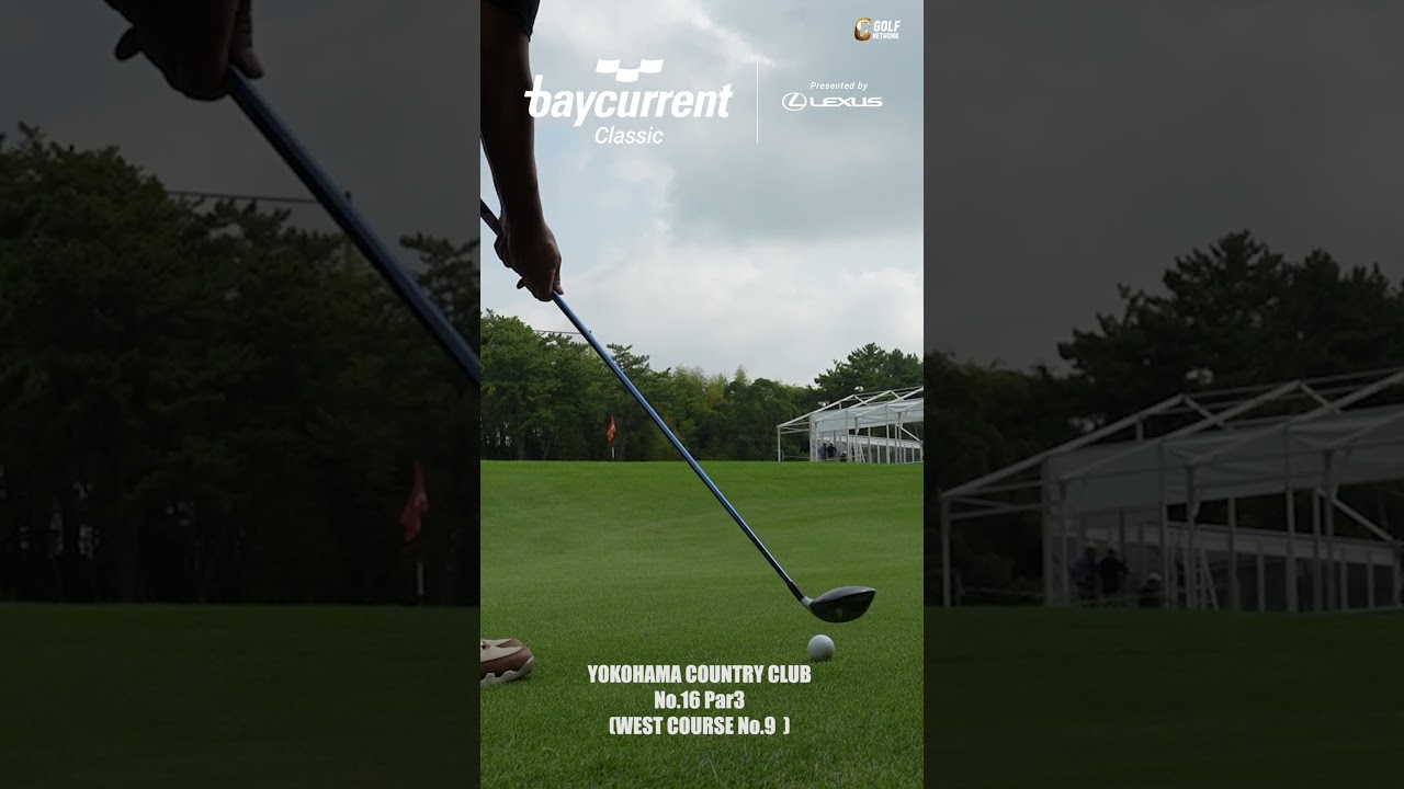 シグネチャーホール16番パー3のグリーン周り【Baycurrent Classic Presented by LEXUS】