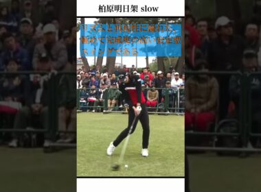 柏原明日架 slow
