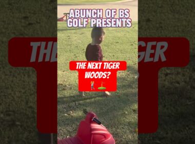 Meet The 1 year old who is the next Tiger Woods🏌️#shorts #golf #comedy