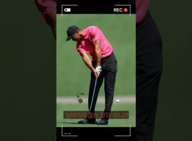 골프 황재 타이거우즈가 성공 할 수 있었던 비밀은? #golf #골프 #골프레슨