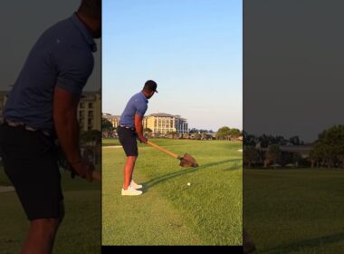 私のウェッジウッドと同じ音が😆 #ゴルフ #golf