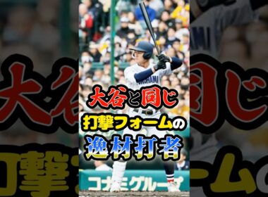 大谷翔平と同じ打撃フォームの「逸材打者」に関する雑学　#野球 #高校野球 #甲子園