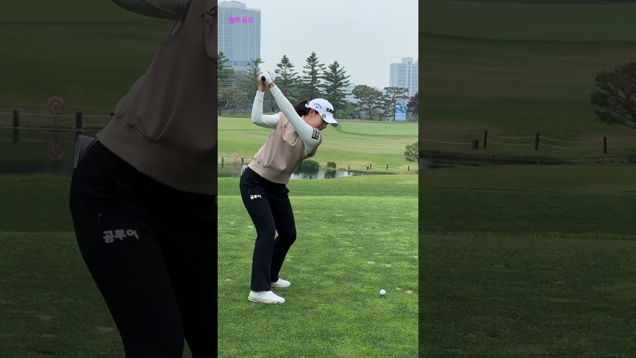 안선주 이지현3 최은우 프로 | 이 정도면 예술이다… 프로의 슬로우 스윙 감상 #koreagolf #golfswing #골프스윙 #골프스타 #par3
