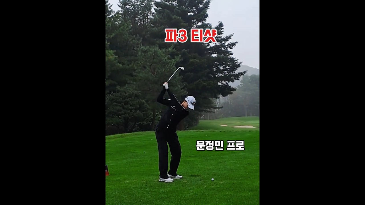 아이언 티샷 #문정민 #유현주 #이재윤 프로