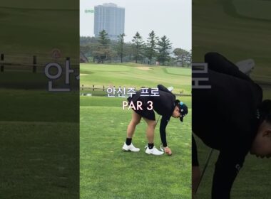 안선주 프로 | 아이언 샷, 미스 없는 프로들의 비밀 #koreagolf #golfswing #골프스타 #골프스윙