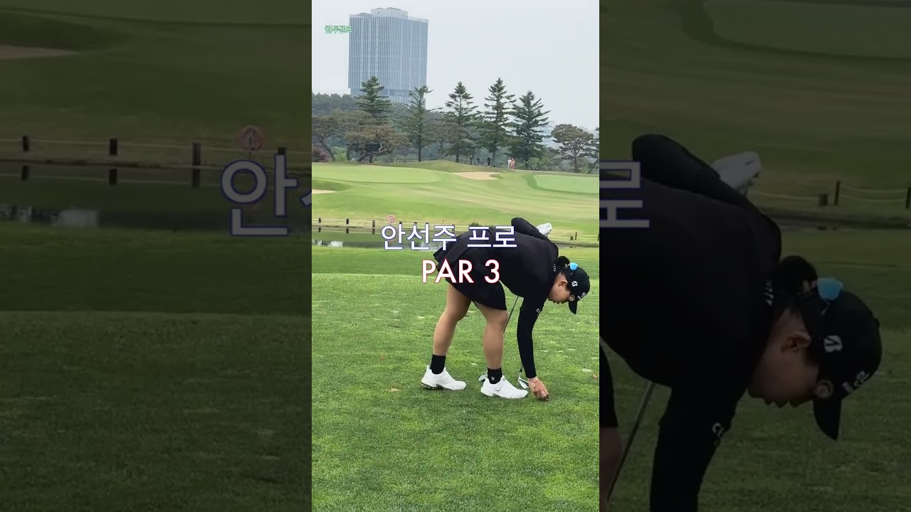 안선주 프로 | 아이언 샷, 미스 없는 프로들의 비밀 #koreagolf #golfswing #골프스타 #골프스윙