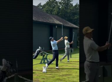 Rose 🌹 and Scotty wow!