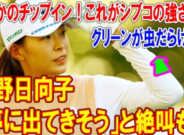 グリーンが虫だらけに！渋野日向子「夢に出てきそう」と絶叫も…まさかのチップイン！これがシブコの強さだ！