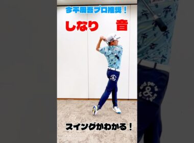 【飛距離アップ】しなりでスイング矯正！自宅でできるプロ推奨のゴルフ練習器具