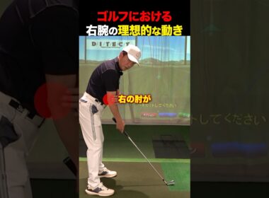 右腕の理想的な動きはこれ！ #golf