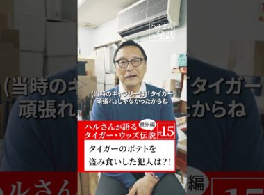 タイガーのフライドポテトを盗み食いした犯人は？！