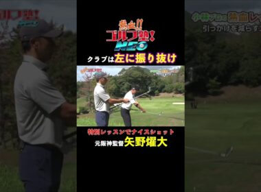 小林プロが教える「曲がらない」を目指す特別レッスン！元阪神監督矢野が劇的な変化をする！