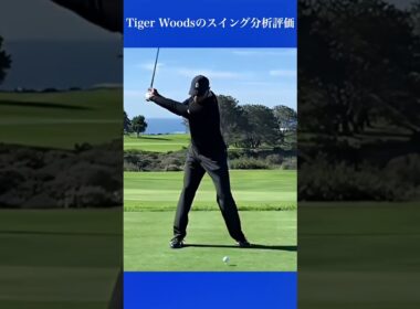 Tiger Woodsのスイング分析評価#short