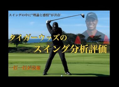 Tiger Woodsのスイング分析評価・解析作品