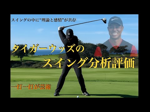 Tiger Woodsのスイング分析評価・解析作品