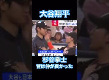 【MLB】大谷翔平、杉谷拳士と昔は仲が良かった #shoheiohtani #mlb #mvp #dodgers #angels #wbc #真美子 #デコピン