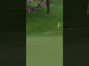 You're KIDDING me! 🤯