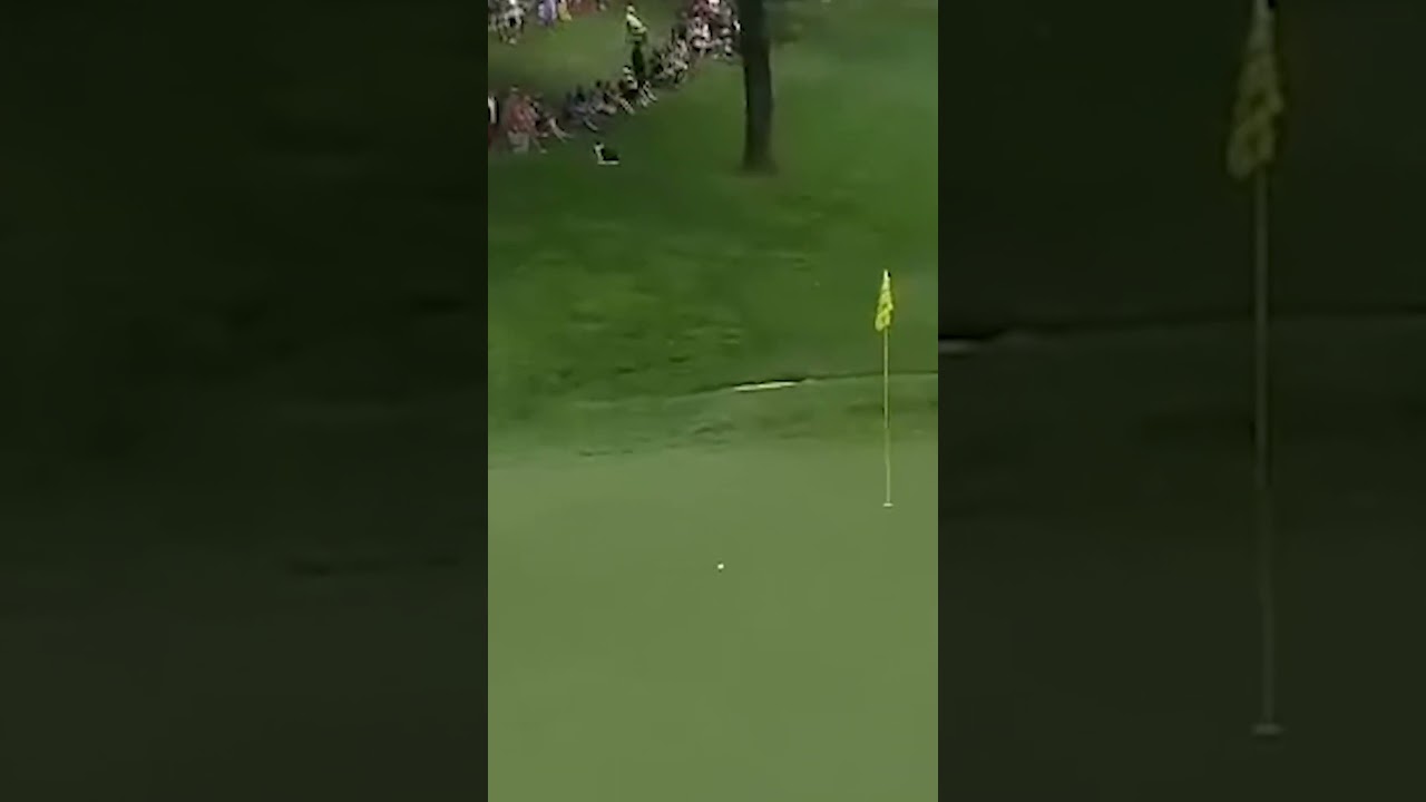 You're KIDDING me! 🤯